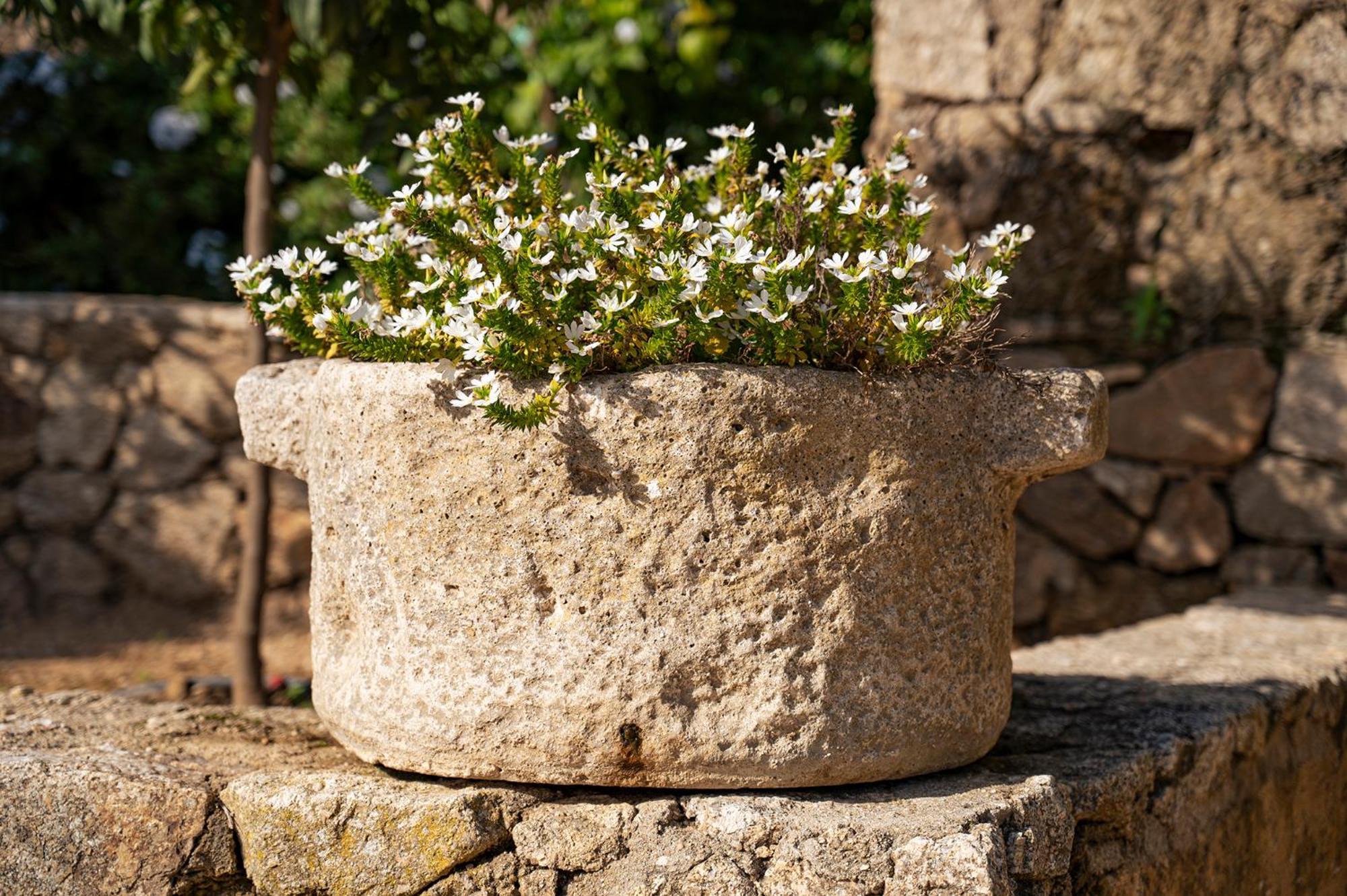 Le Clos De Mansart Grimaud Kültér fotó