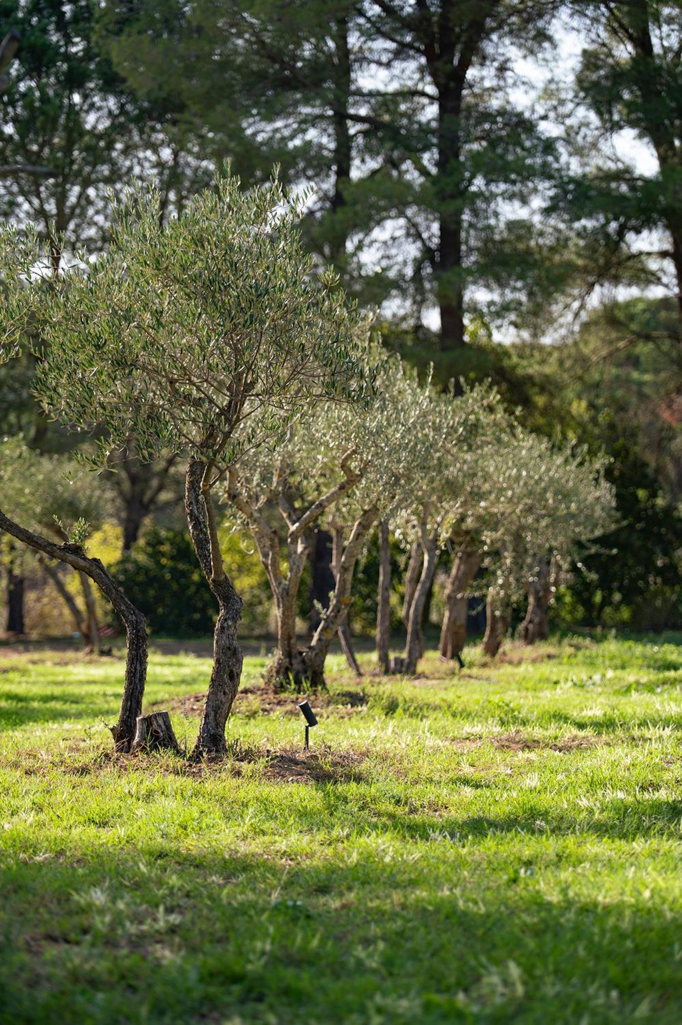 Le Clos De Mansart Grimaud Kültér fotó
